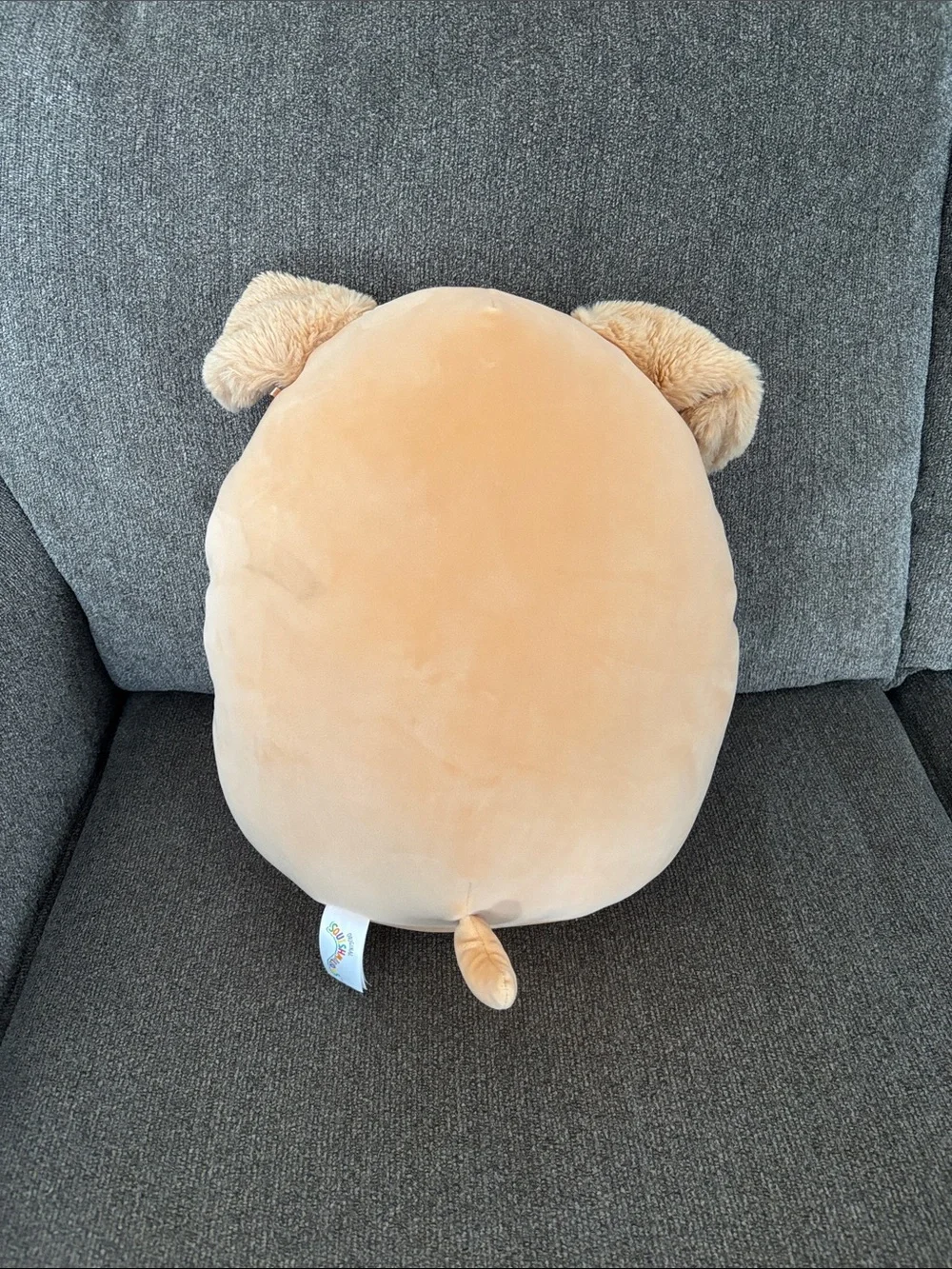 Squishmallows Light Brown Dog with Festive Colored Lights